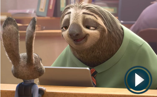 zootopia