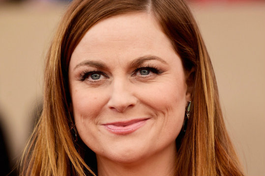 amypoehler-crop