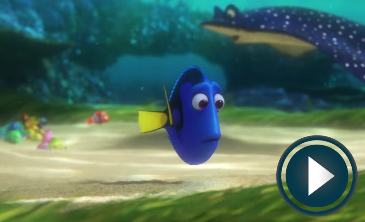 finding_dory