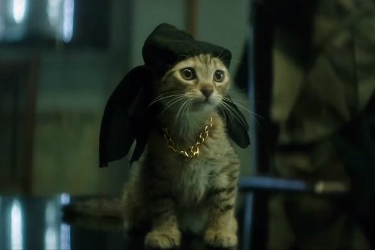 Keanu-gangster-cat 1