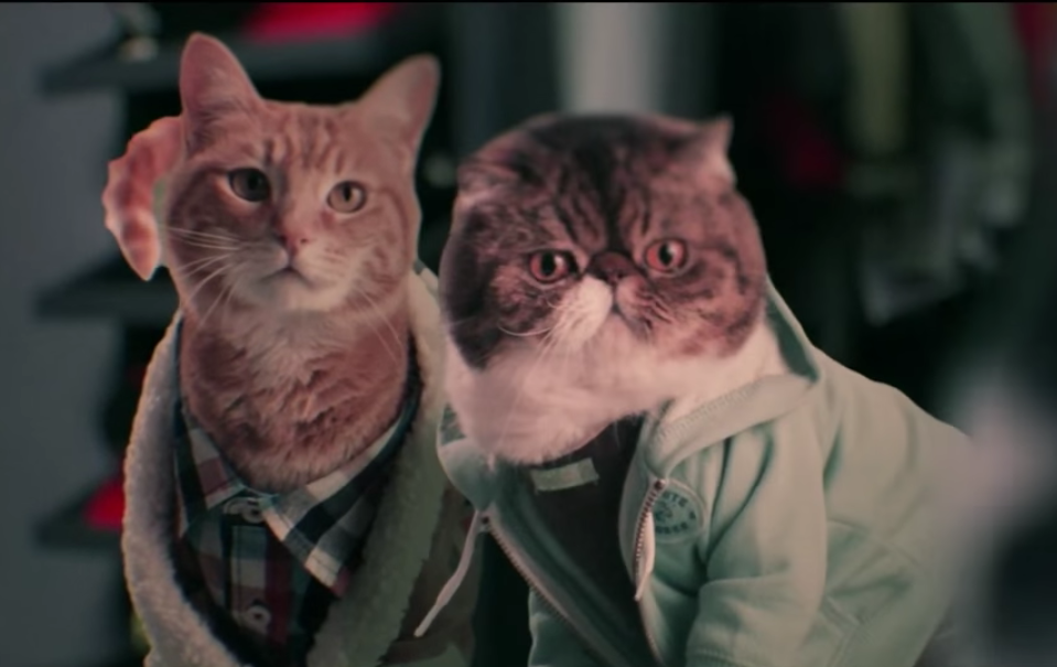 things-we-love-this-keanu-trailer-with-cats-instead-of-actors-will