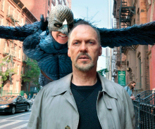 db-birdman