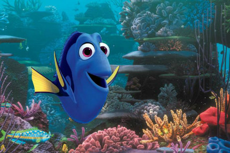 dory excerpt