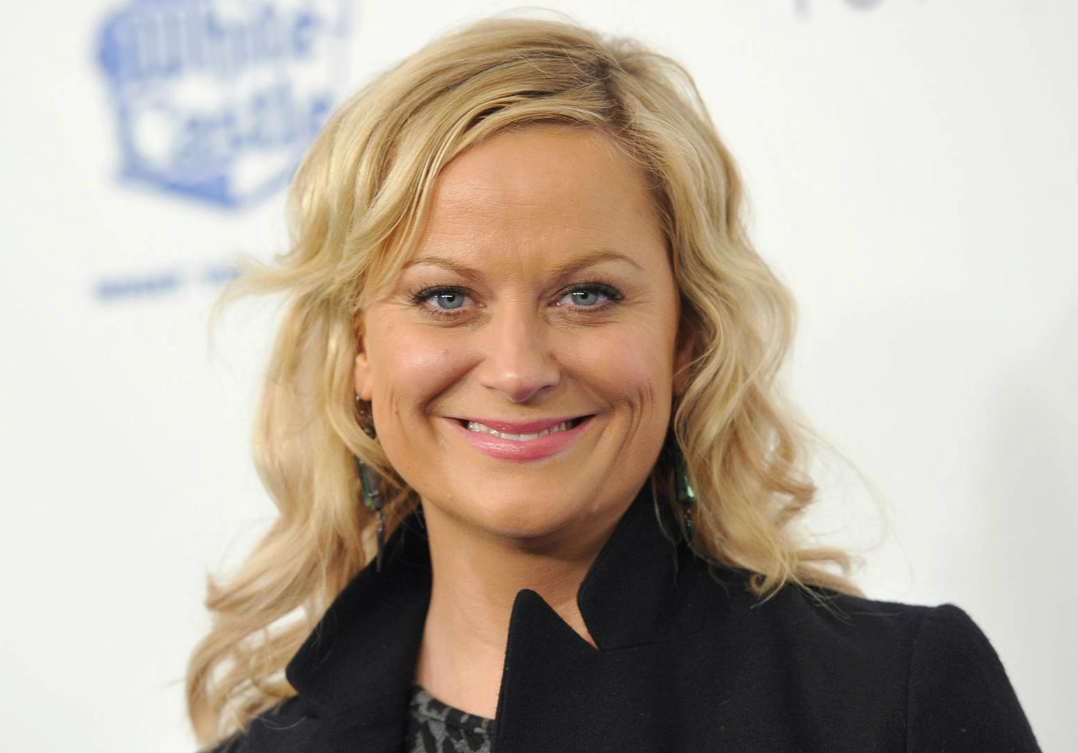 ss-140109-Amy-Poehler-tease.today-ss-slide-desktop