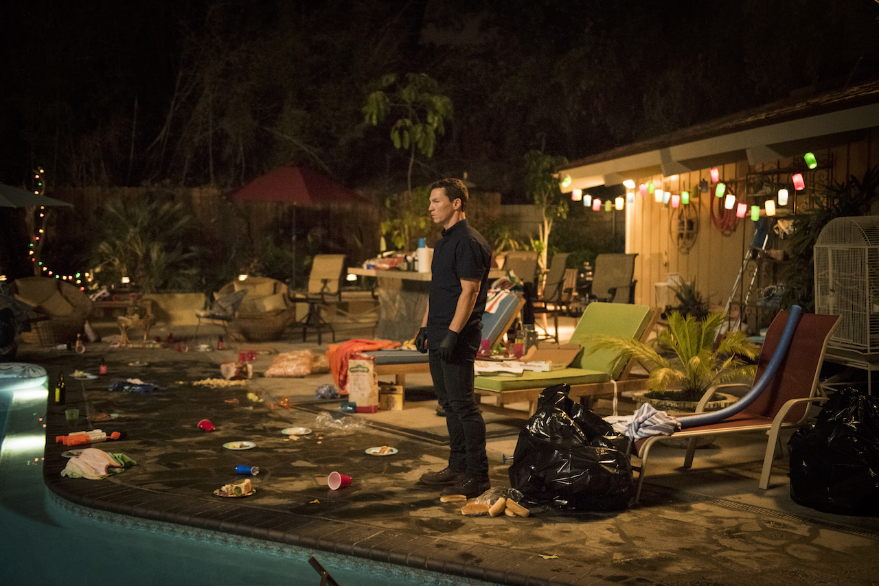 Animal Kingdom Review Animals The Tracking Board