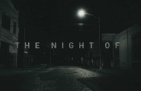 The Night Of Excerpt