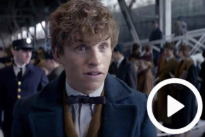 fantasticbeasts