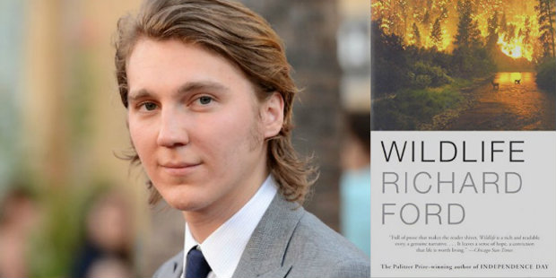 paul dano wildlife