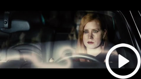 Nocturnal Animals Trailer