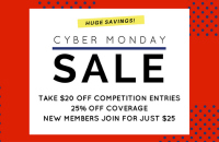 Cyber Monday excerpt