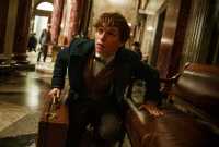 fantastic-beasts-excerpt