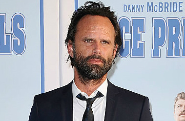 walton goggins excerpt