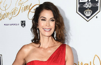 teri hatcher excerpt