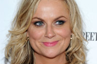 Amy Poehler Excerpt