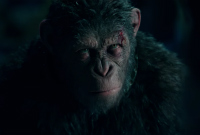 war-apes-banner