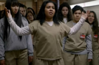 orange is the new black excerpt