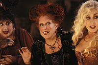 hocus pocus small