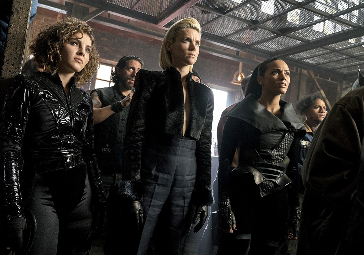 gotham the north face