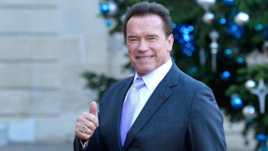 Arnold Schwarzenegger Kung Fury