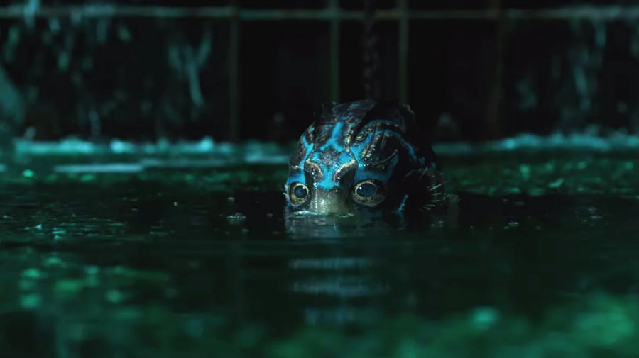 The Shape of Water